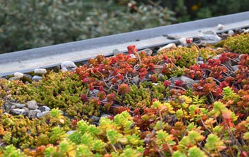 the cost of Titton green roof installation