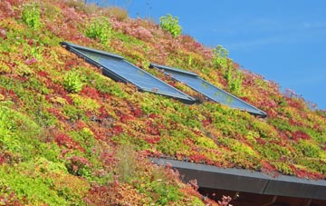 Titton living roof systems